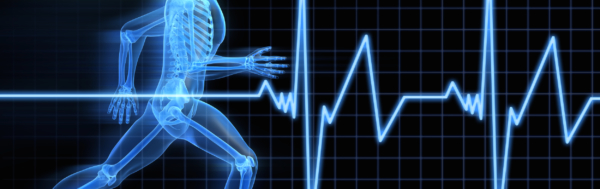 create-body-gameznet-header