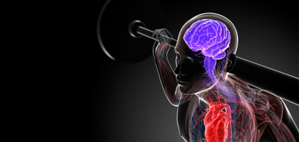 exercise brain and heart