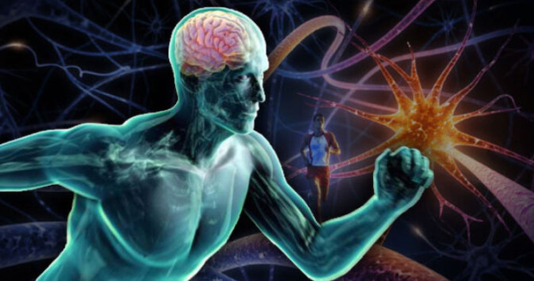 exercise-brain-feature