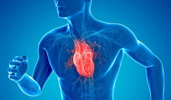 healthy-heart