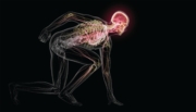 inside body 