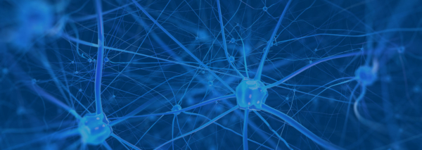 Blue brain cells header