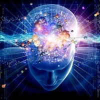 brain expansion 