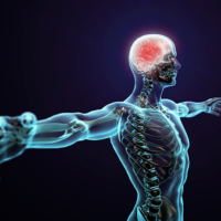 Brain and Body 