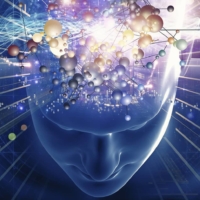 mind creator group 