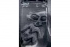 Aliens_Picture_Gallery-t0036