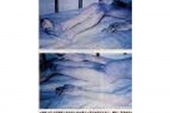 Aliens_Picture_Gallery-t0040