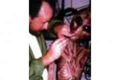 Aliens_Picture_Gallery-t0042