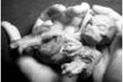 Aliens_Picture_Gallery-t0046