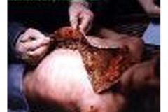 Aliens_Picture_Gallery-t0049