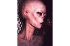 Aliens_Picture_Gallery-t0067