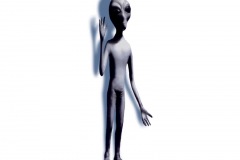 GREYLONG