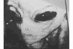 gray_alien_50yrs_of_denial