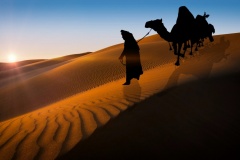 camels-sunrise-travel-safari