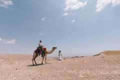 man-riding-camel-on-desert-under-blue-sky-during-daytime-wallpaper-preview