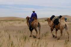 mongolia-desert-nomad-desert-landscape-preview