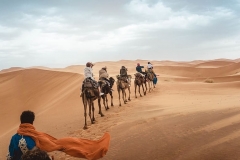 several-people-riding-camels-on-desert-during-daytime