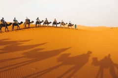 travel-blog-travel-photography-desert-caravan