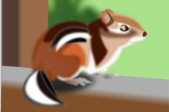 wsnaccad-Cute-Chipmunk