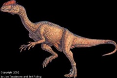 dilophosaurus