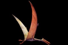 quetzalc