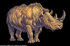 rhino