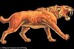 sabercat
