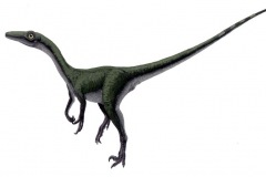 saurornithoides-aa