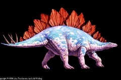 stegosaurus