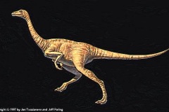struthiomimus
