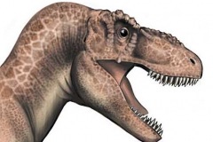trex1
