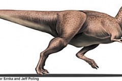 trex3