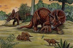 triceratops