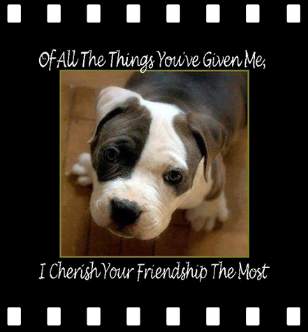 friendship