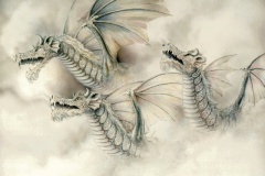 Dragons wallpaper