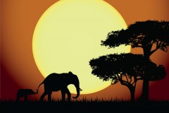 elephant-royalty-free-images-gameznet-23