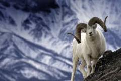 images-4