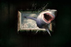 shark-1626288_960_720