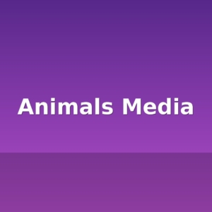 Animals Media