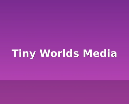 tiny worlds media
