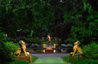 Green Lit Path 