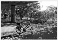bike wiggle 3d 