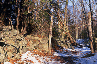 Snow 