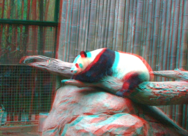 3d-analglyph-wallpaper-gameznet-panda