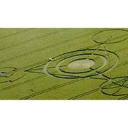 Barbury Castle Crop Circle 1991 Barbury Castle Crop Circle 1991